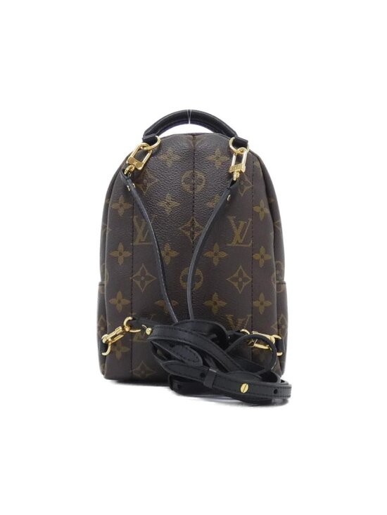 Louis Vuitton Monogram Palm Springs Backpack Mini main image 5